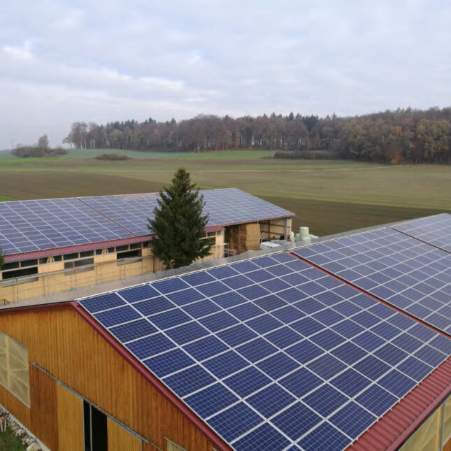 Pferehof in Bad Schussenried